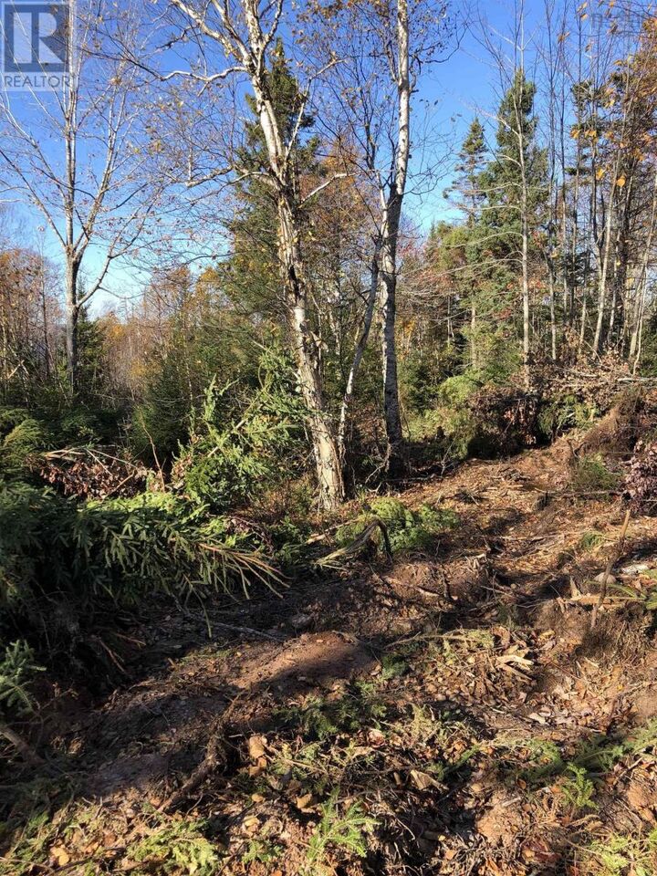 Property Photo:  Lot 07-1 Highway 223  NS B1T 1M2 