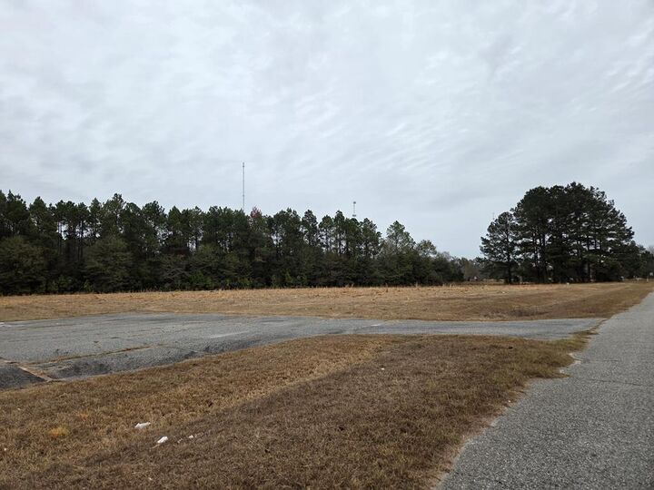 Property Photo:  118 Joe Wright Drive/New Harvest Road Lot B,  GA 31015 