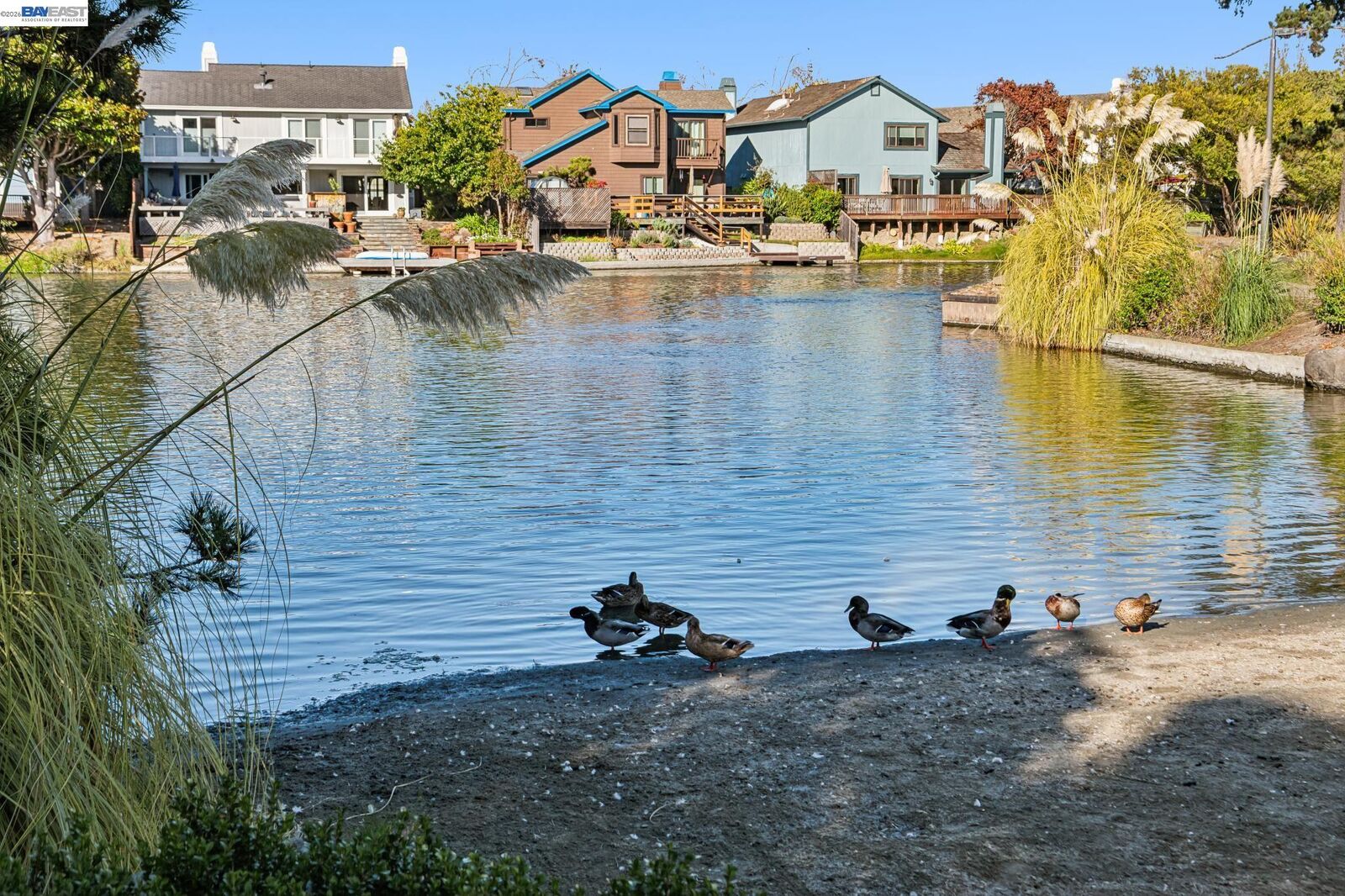 Property Photo: 169 Diapian Bay CA 94502