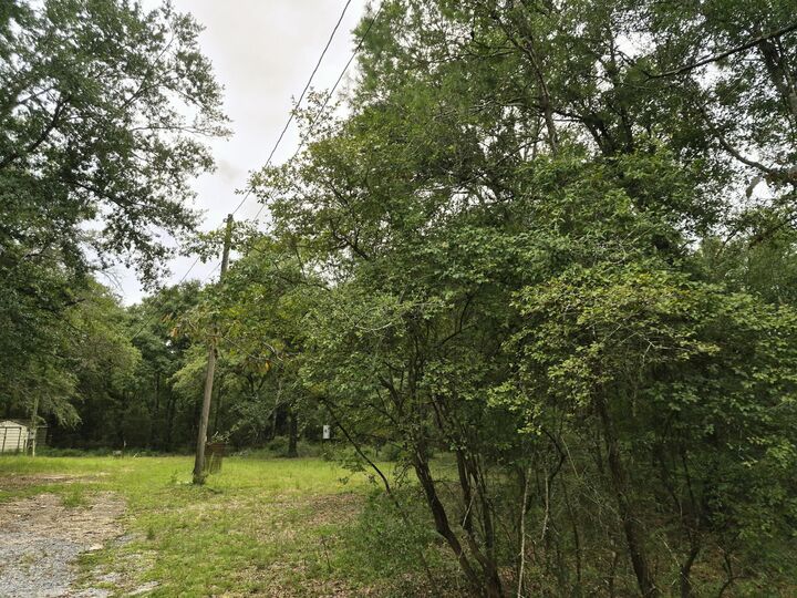 Property Photo:
