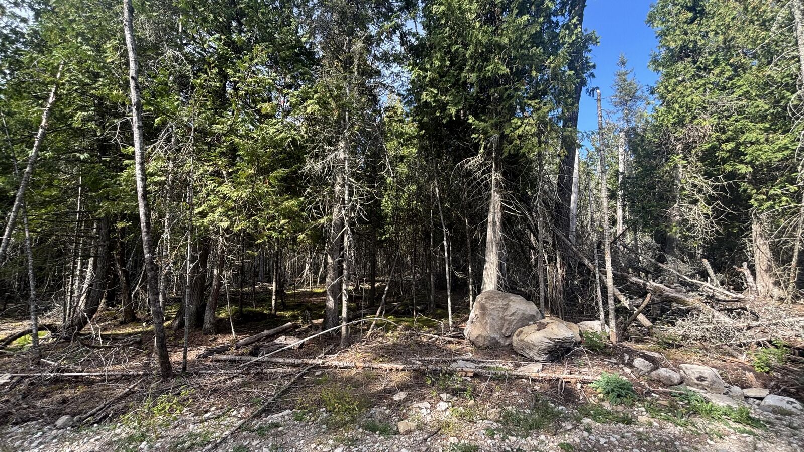 Property Photo: Tbd Shiawassee Trl Lot 128 MI 49745