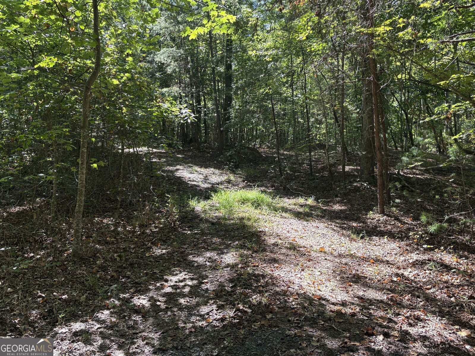 Property Photo: 29B Hillstead Trace GA 30540