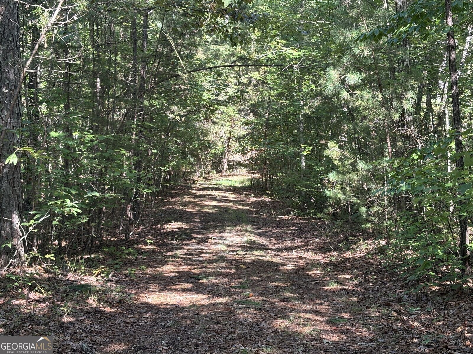 Property Photo:  29A Hillstead Trace  GA 30540 