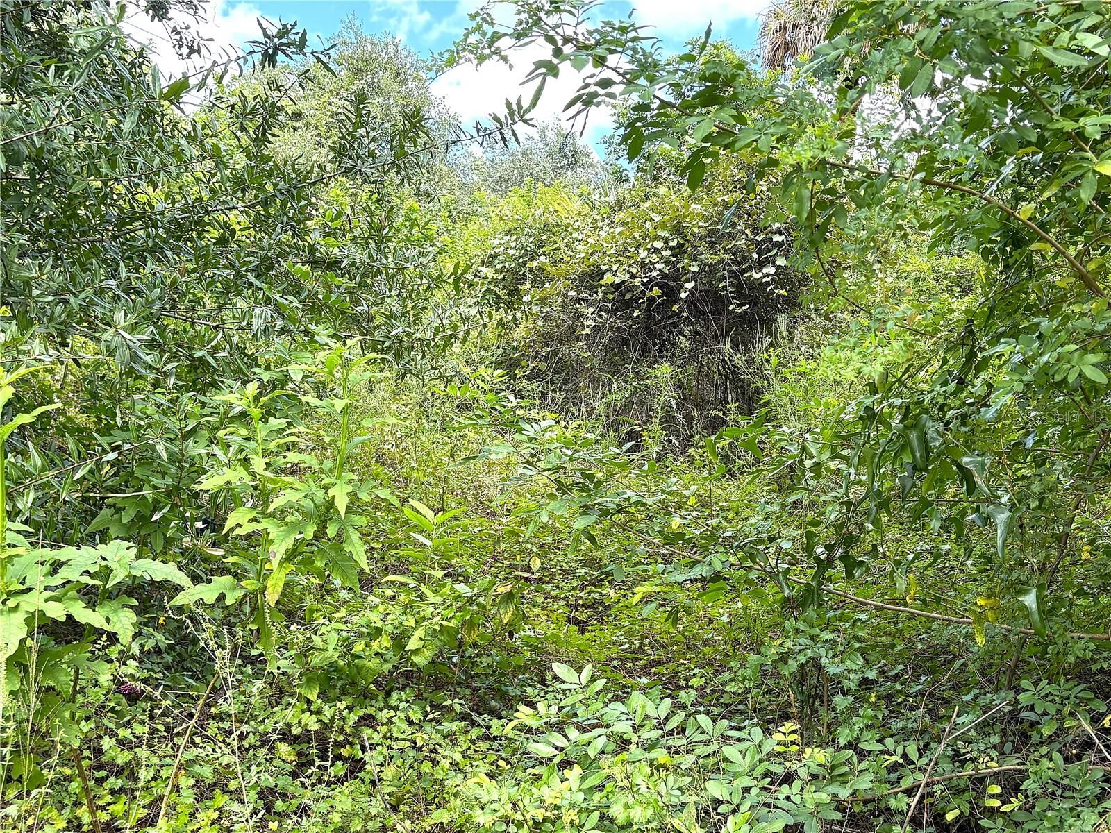 Property Photo: 13276 Johannes Avenue FL 33953