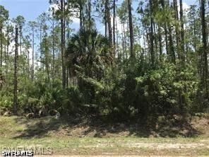 Property Photo: 3530 5th Avenue SW FL 34117