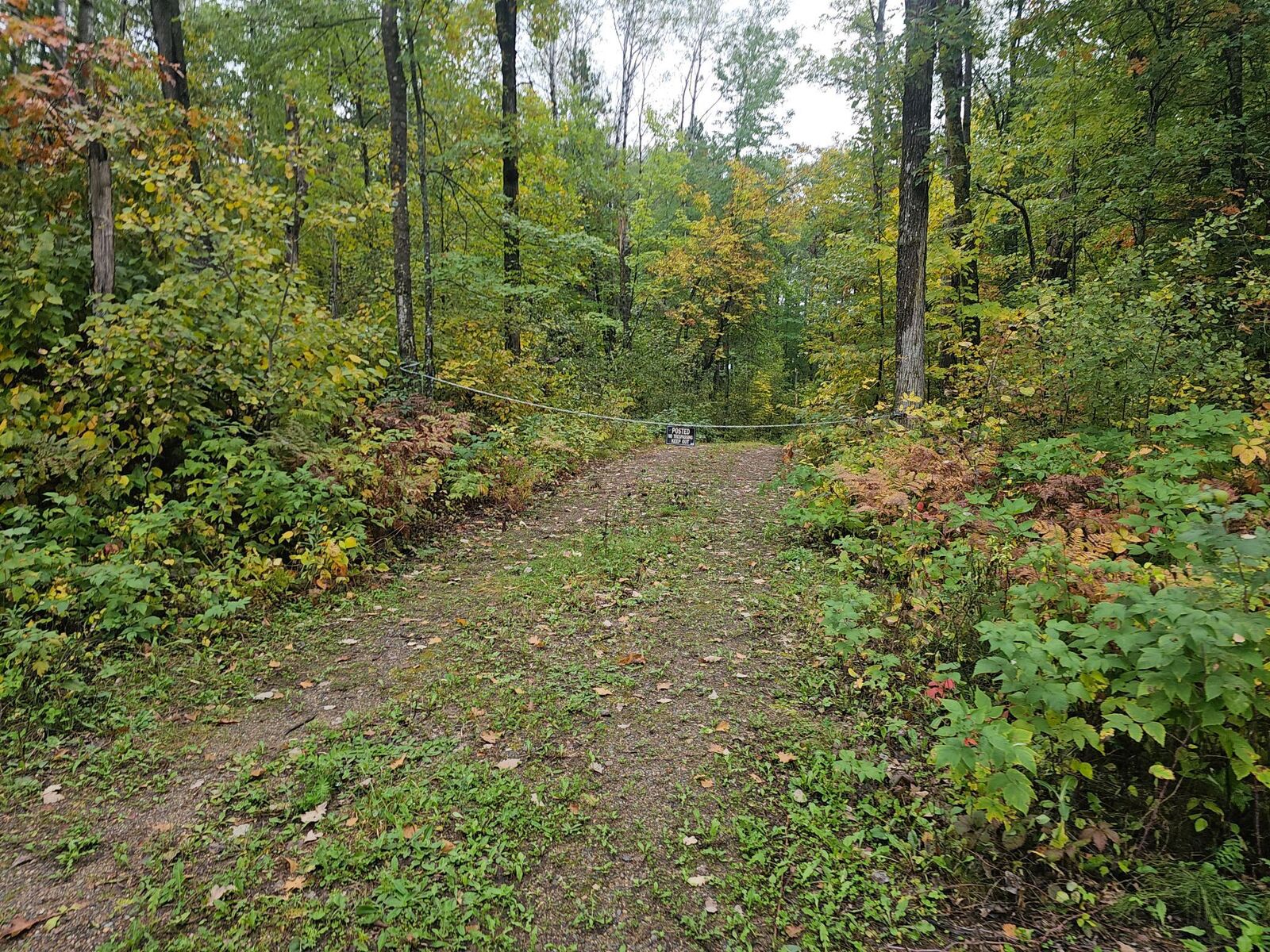 Property Photo:  20012 Nature Trail  MN 56455 