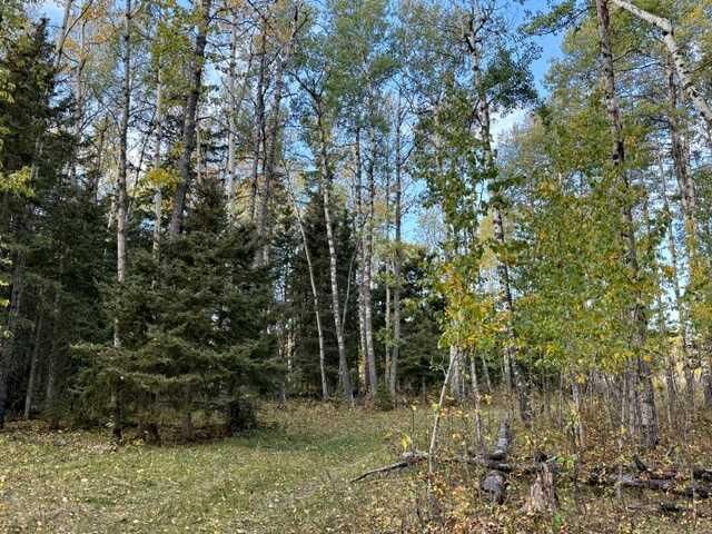 Property Photo: 32310 Range Road 45 AB T0M 1X0