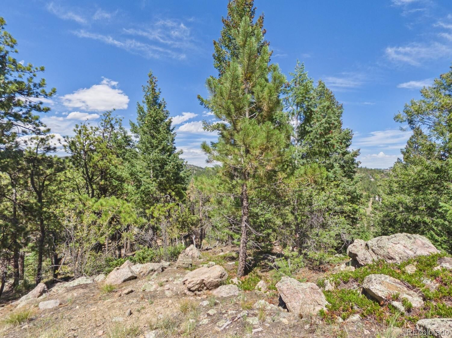 Property Photo:  N Turkey Creek Road  CO 80465 