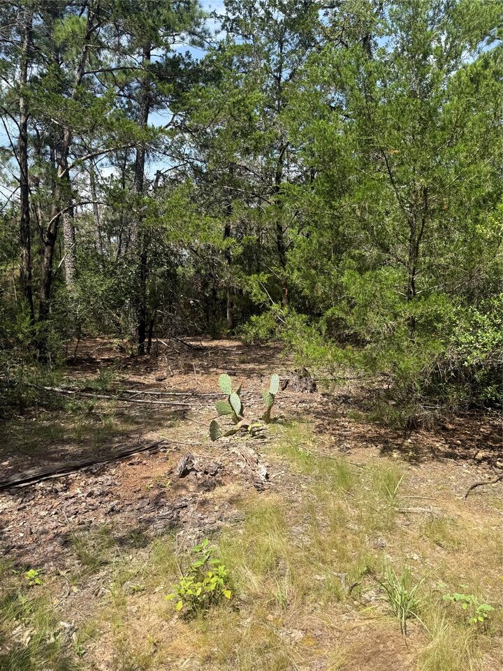 Property Photo: Lot 1252 Tba Hanauma Drive TX 78602