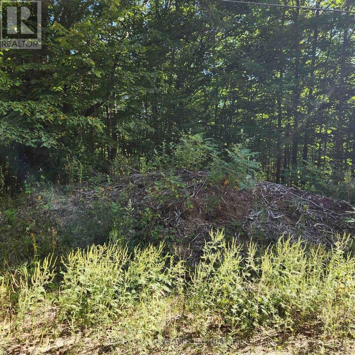 Property Photo:  Lt 165 Zhingos Lane  ON L9M 0A9 