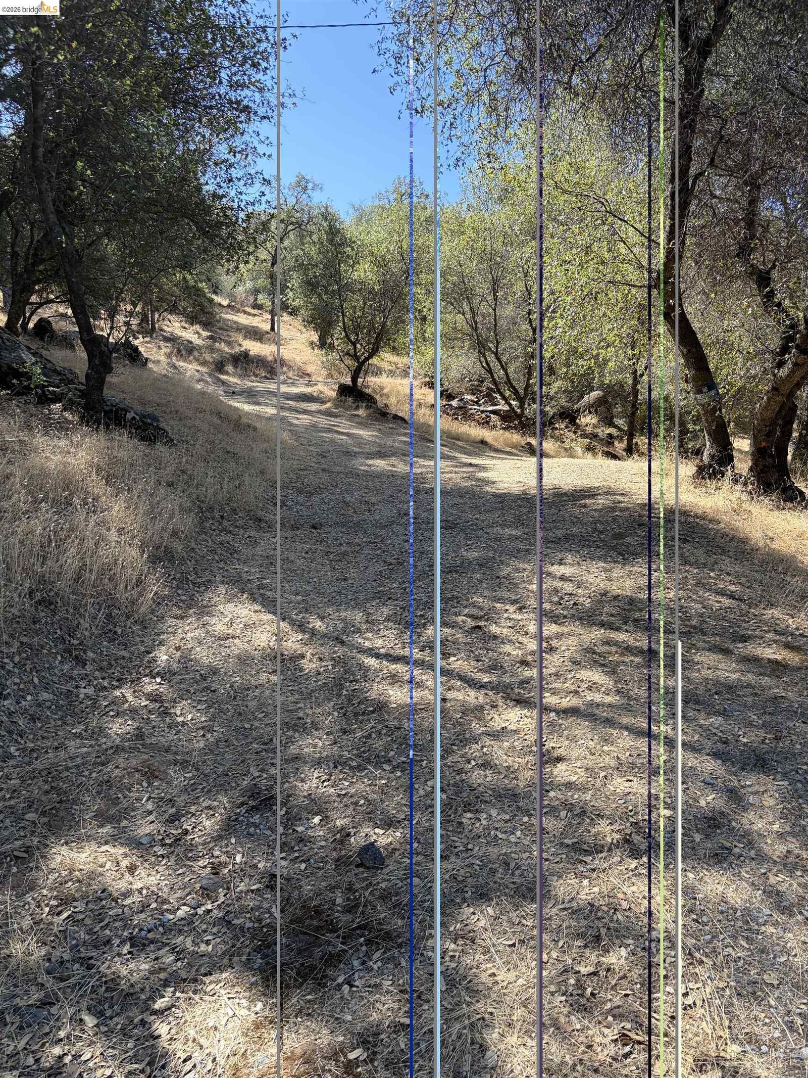 Property Photo: 13643 Terrace Dr CA 95370
