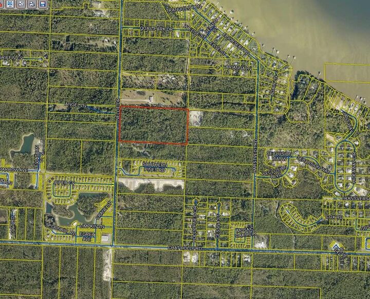 Property Photo:  20 Acres Nellie Drive  FL 32459 