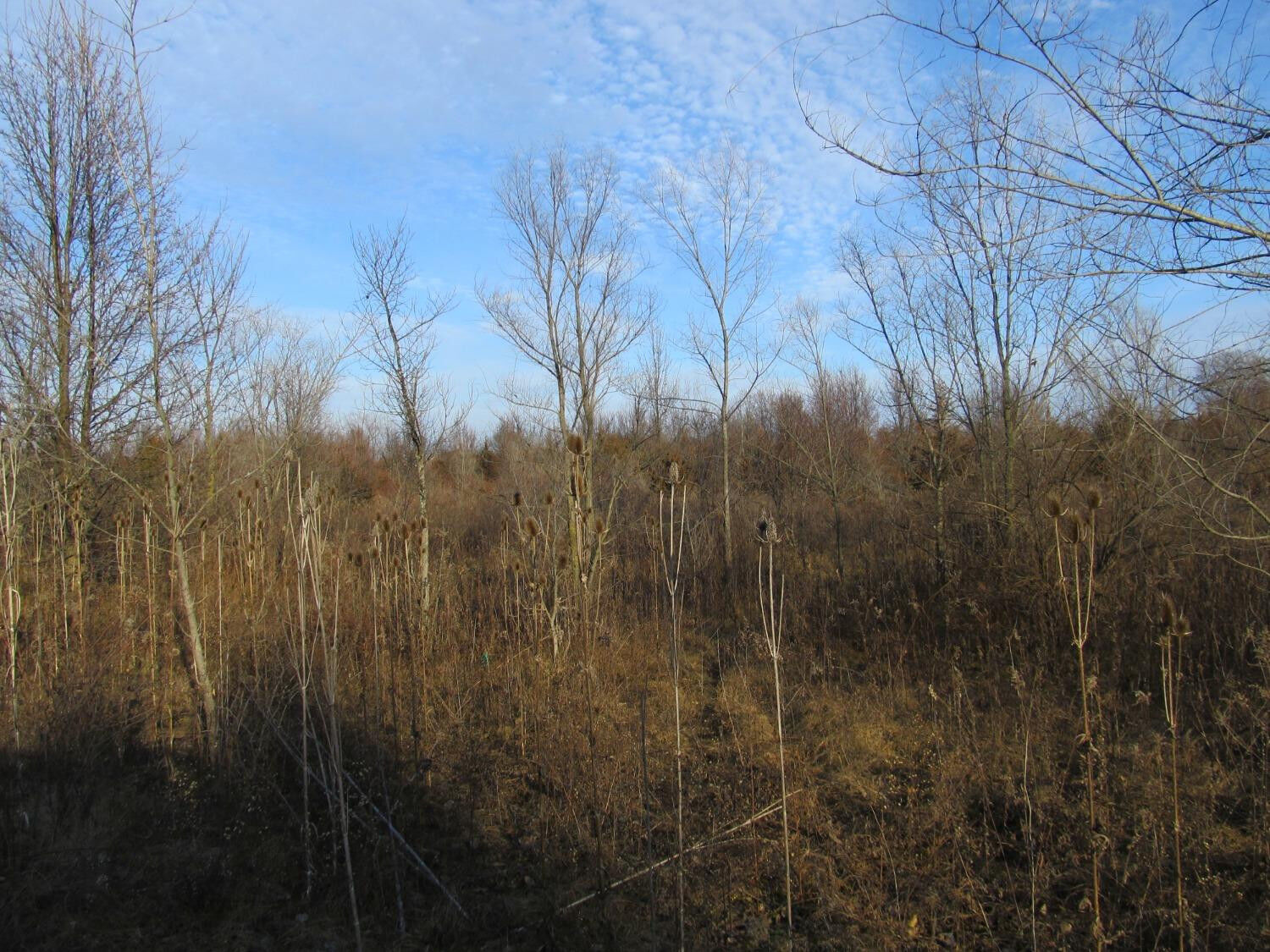 Property Photo:  0-Lot 8 Grant Street  IN 46410 