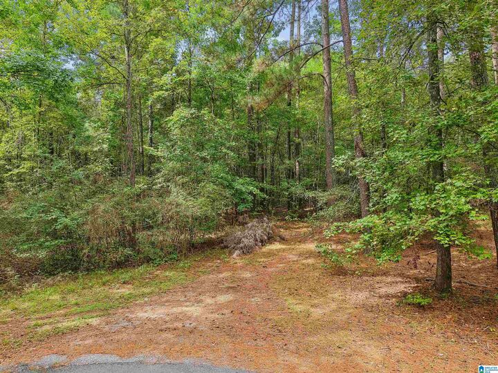 Property Photo: 0 Howard Hill Drive 1 AL 35178