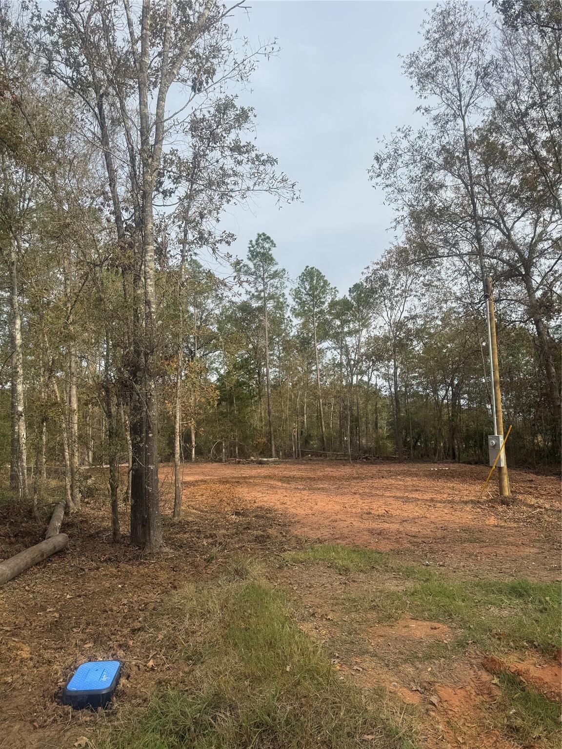 Property Photo:  197 Alta Vista Drive  TX 77351 
