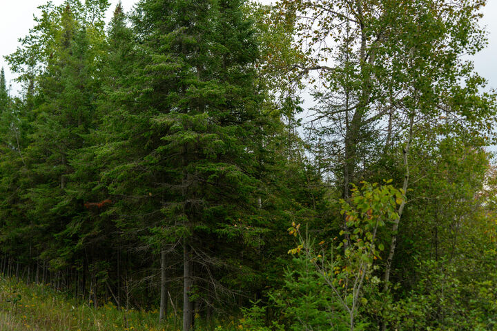 Property Photo: 6932 E Houghton Lake Road MI 49667