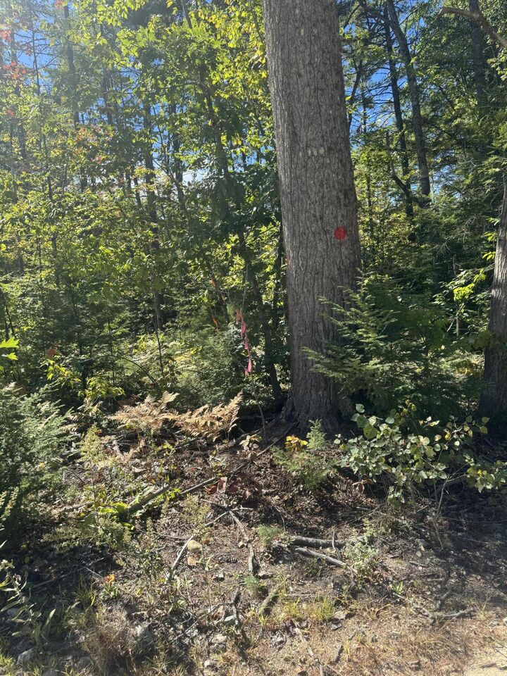 Property Photo: Lot 31-I Old Waterford Road ME 04051