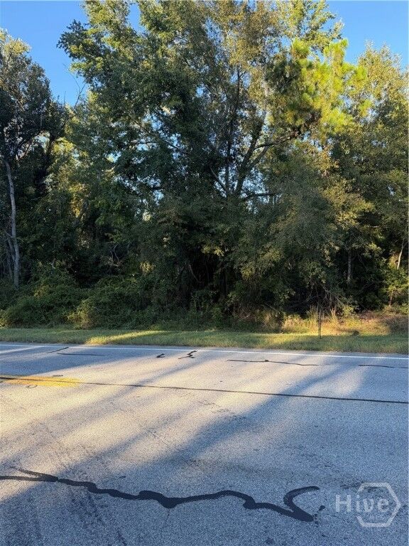 Property Photo:  0 Hwy 1 N  GA 30401 