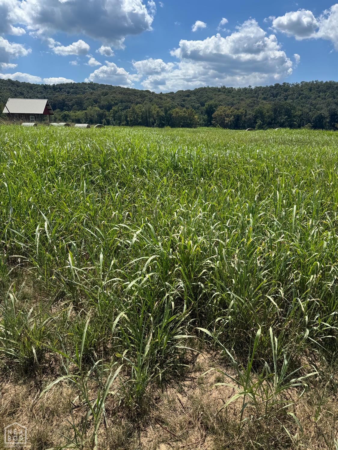 Property Photo:  64 White River Run  AR 72540 