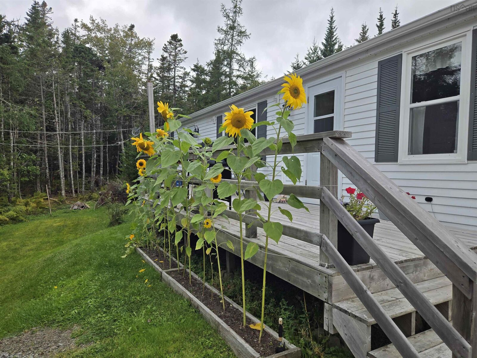 Property Photo:  69 De Raymond Street  NS B0E 3B0 