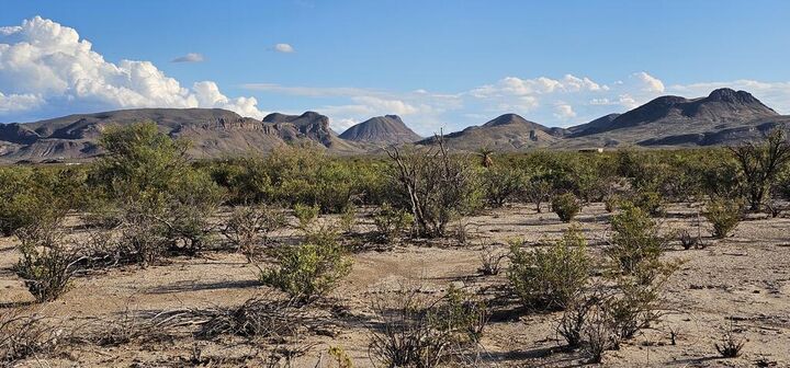 Property Photo: 403 Este Rd TX 79852