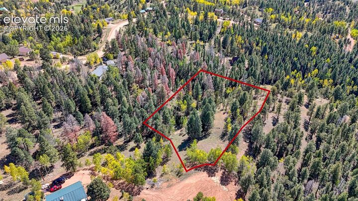 Property Photo:  136 Gold Crown Circle  CO 80813 