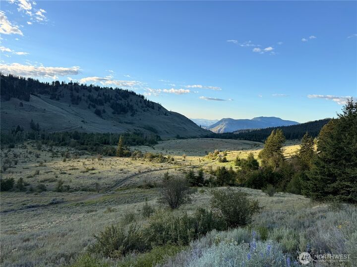 Property Photo:  0  Chopaka Mountain Rd.  WA 98827 