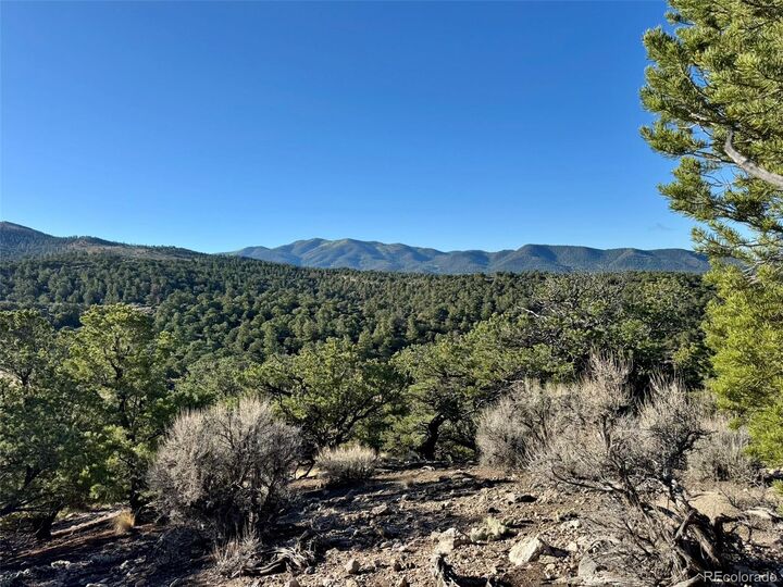 Property Photo:  Lot 2337 Sandoval Road  CO 81133 