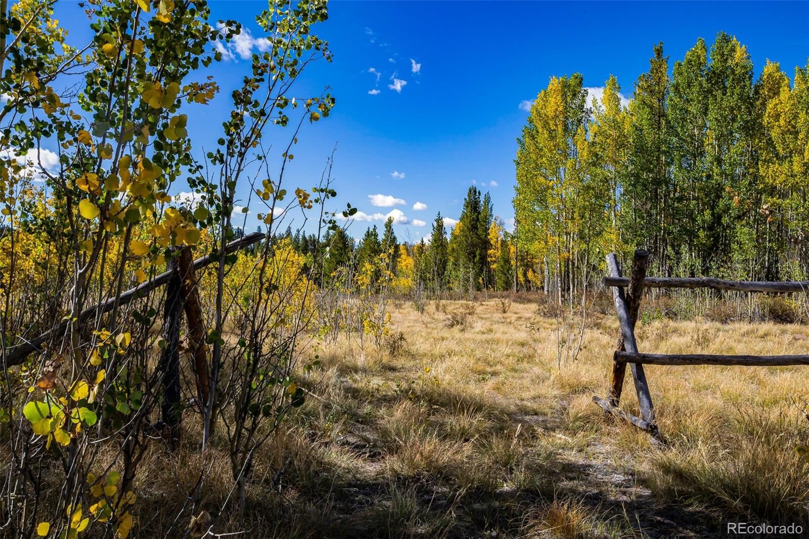 Property Photo:  660 Rockwell Renshaw Road  CO 80440 
