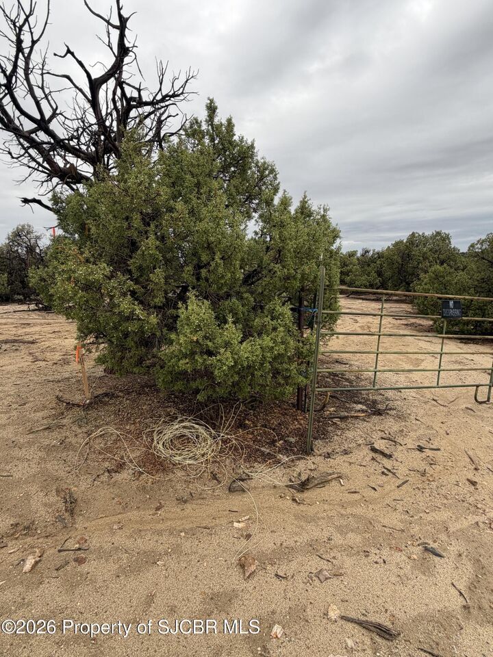 Property Photo: 32 Road 2581 NM 87410