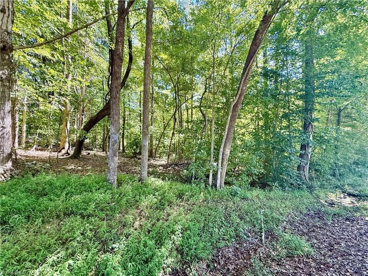 Property Photo: 384 Riverview Lane NC 27292