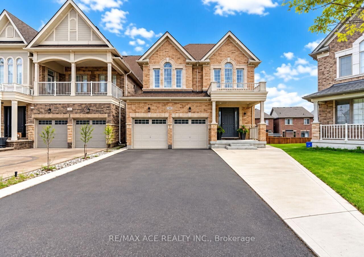 Property Photo:  146 Beaconsfield Drive Bsmt  ON L4H 4L7 