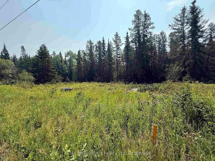 Photo de la propriété:  Lot 3 Kinger Road  ON P9N 0E4 