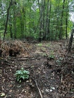 Property Photo:  7668 Long Bay Parkway  NC 28609 