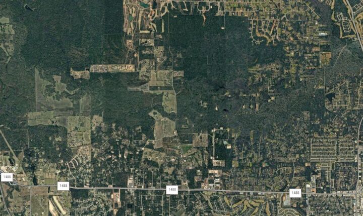 Property Photo:  3440 Corolla Road  TX 77354 