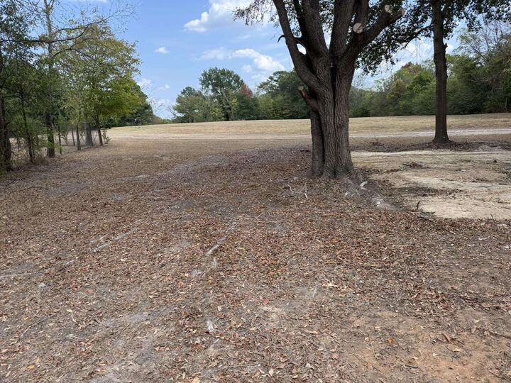 Property Photo: 582 Main Street TX 75645