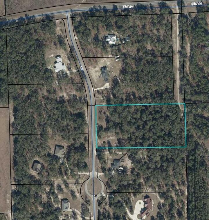 Property Photo: Lot 3 NE 48th Court FL 32643