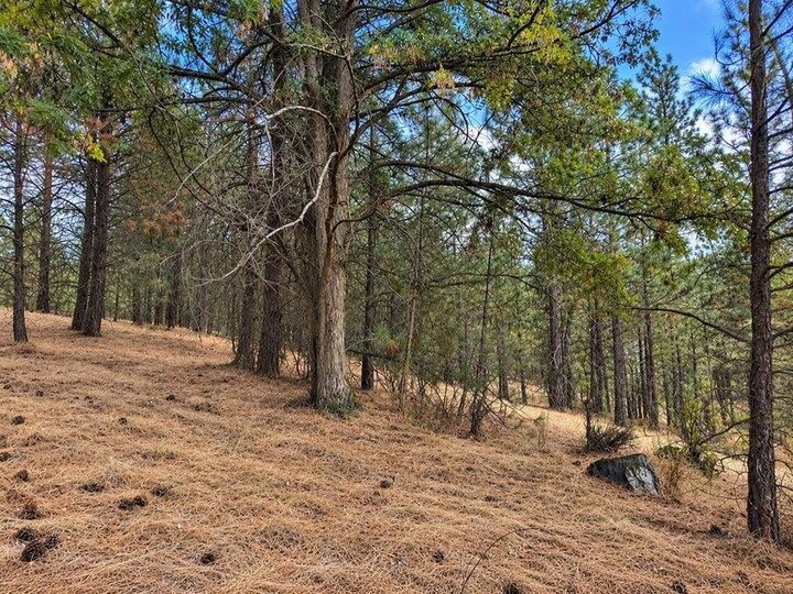Property Photo:  Nka Ponderosa Way  WA 99141 
