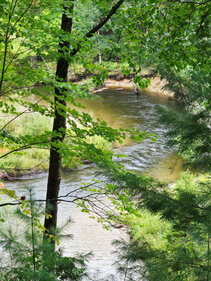 Property Photo: 7693 S Straits Highway MI 49749