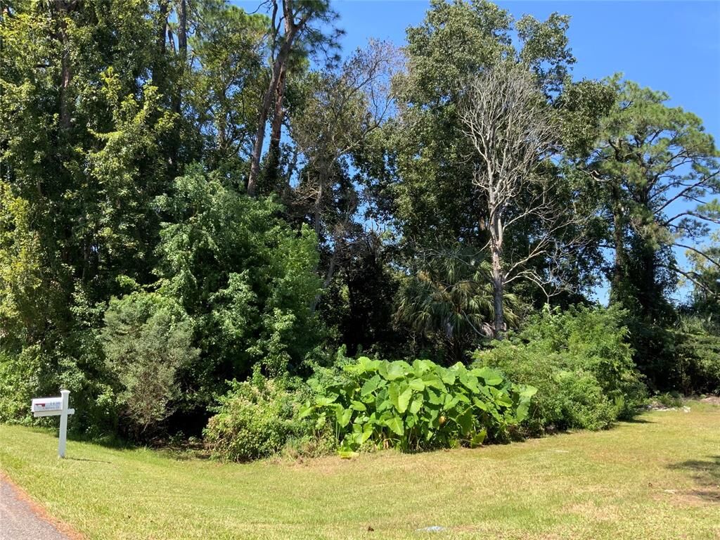Property Photo:  0 Cashen Drive  FL 32034 