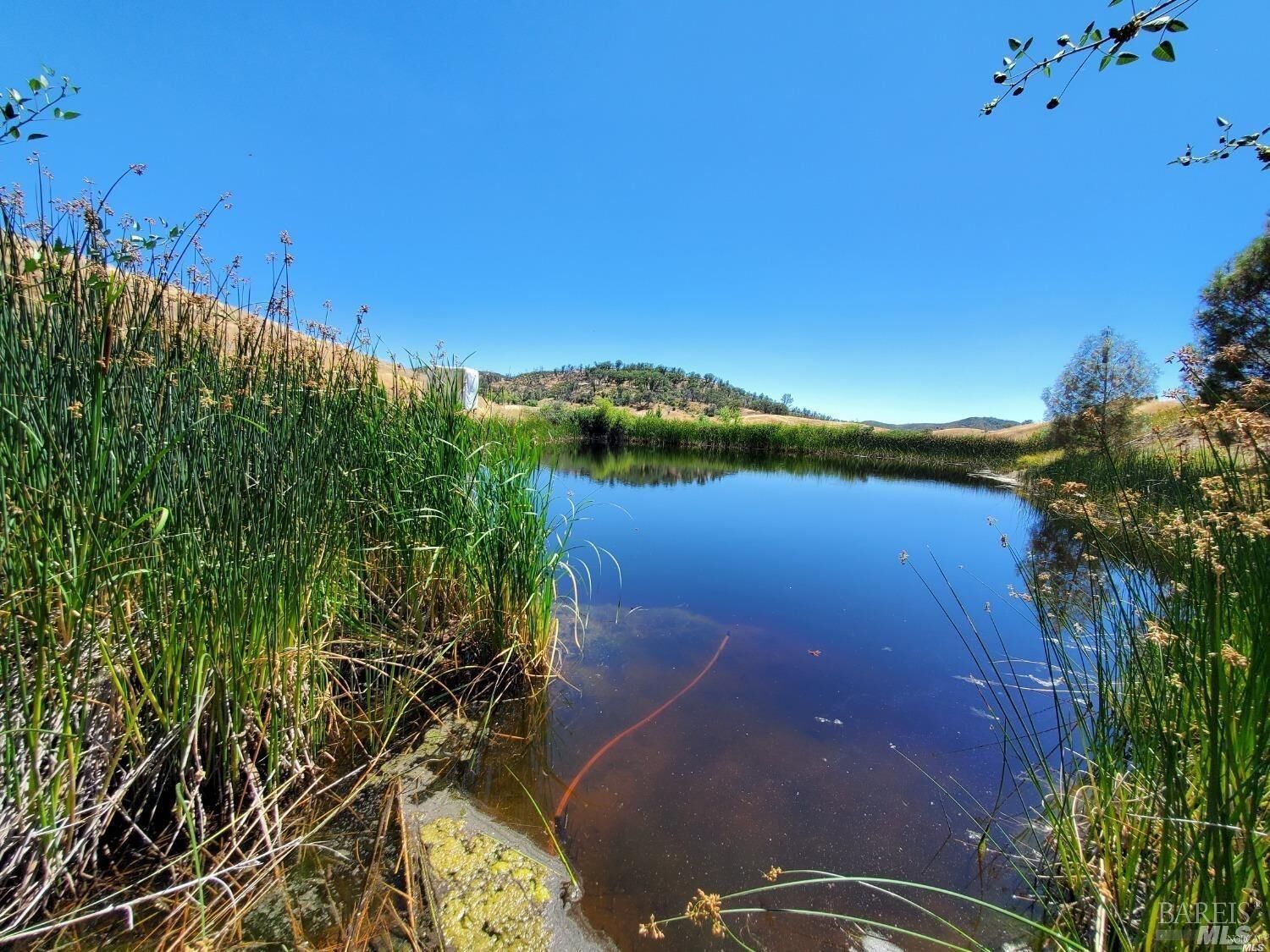 Property Photo: 8770 8860 Rocky Creek Road CA 95457