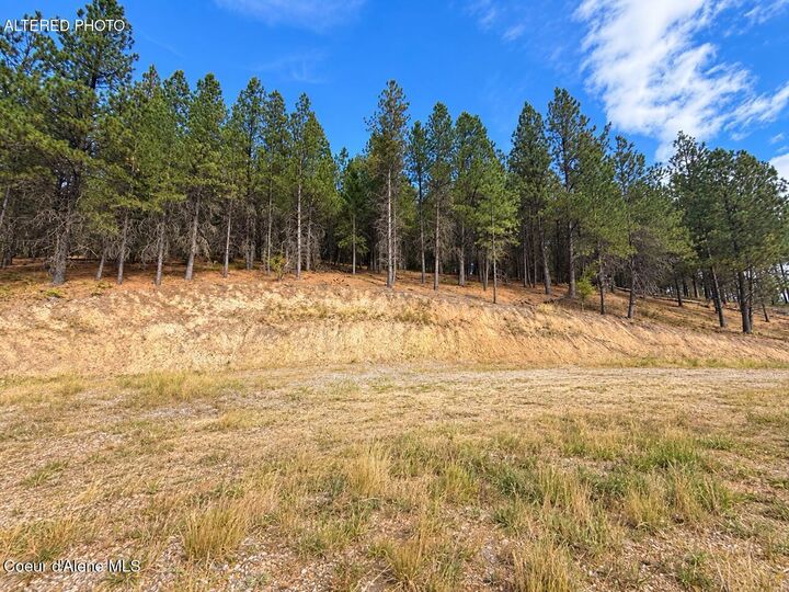 Property Photo:  2972 S Fork Rdg  ID 83868 