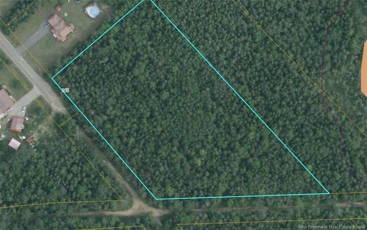 Property Photo:  Land Barrieau Street  NB E1N 4T9 