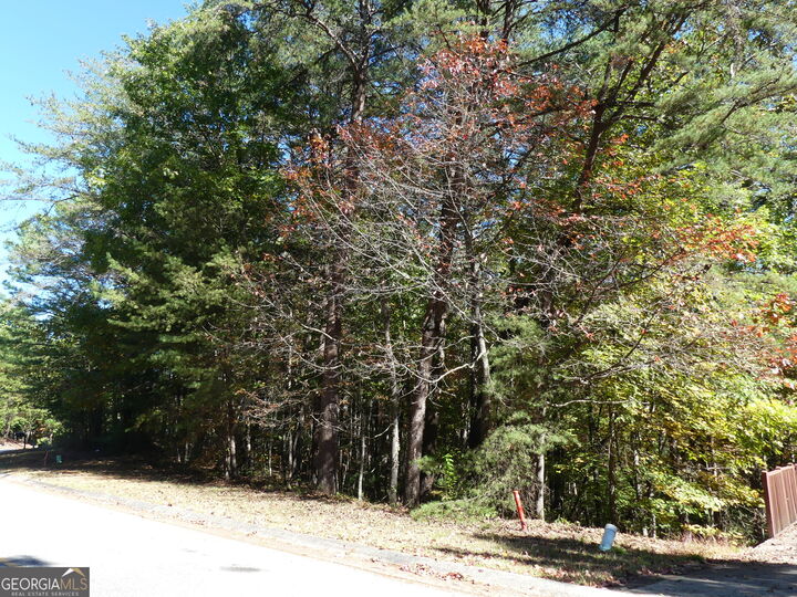 Property Photo: 0 Zeppelin Strasse Lot 78 GA 30545