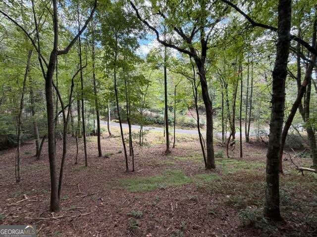 Property Photo:  133 Seneca Drive  GA 30540 