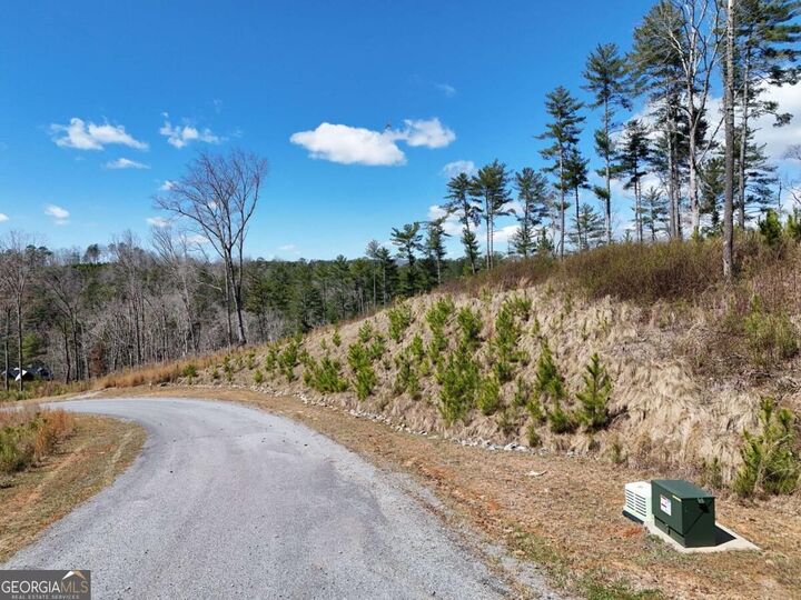 Property Photo:  Lot 253 High River Crossing  GA 30540 