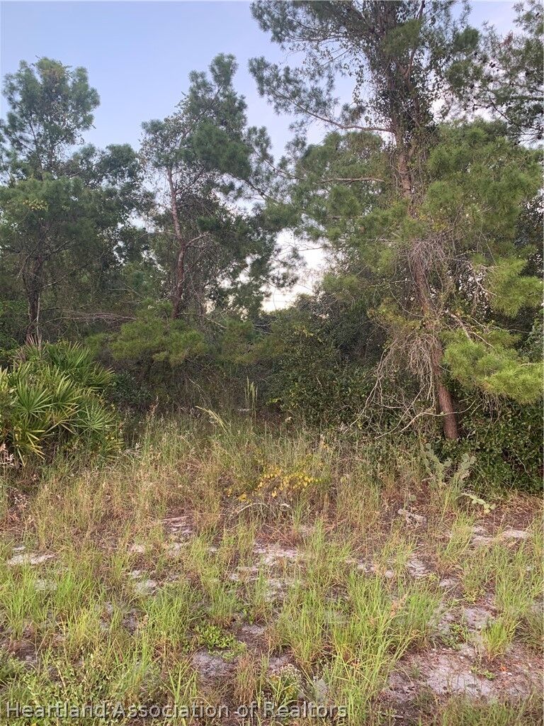 Property Photo:  245 Loquat Road NW  FL 33852 