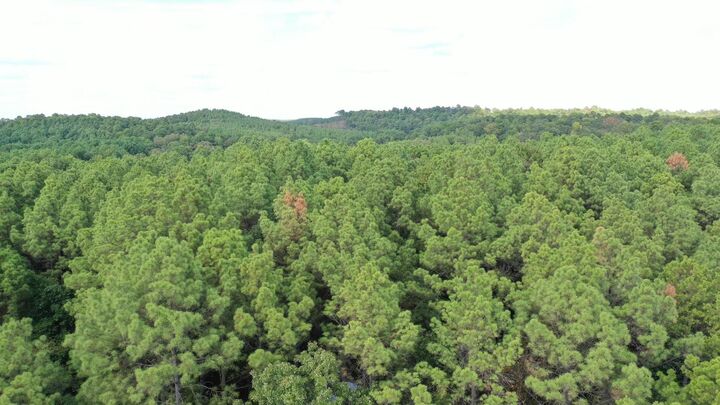 Property Photo:  0000 McNeil Road  TX 75630 