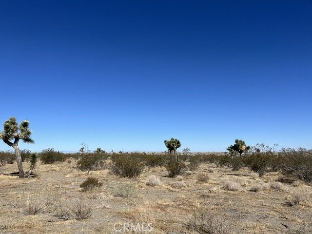 Property Photo: 0 Luna-309806115 CA 92371