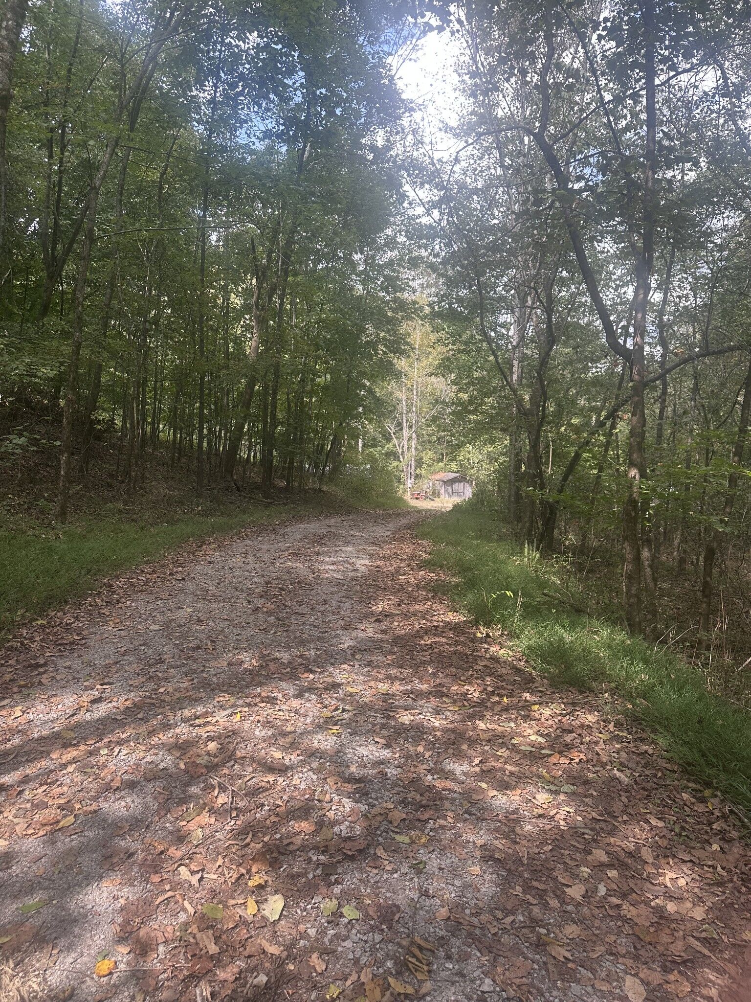 Property Photo: 2550 Hurricane Creek Rd TN 38464